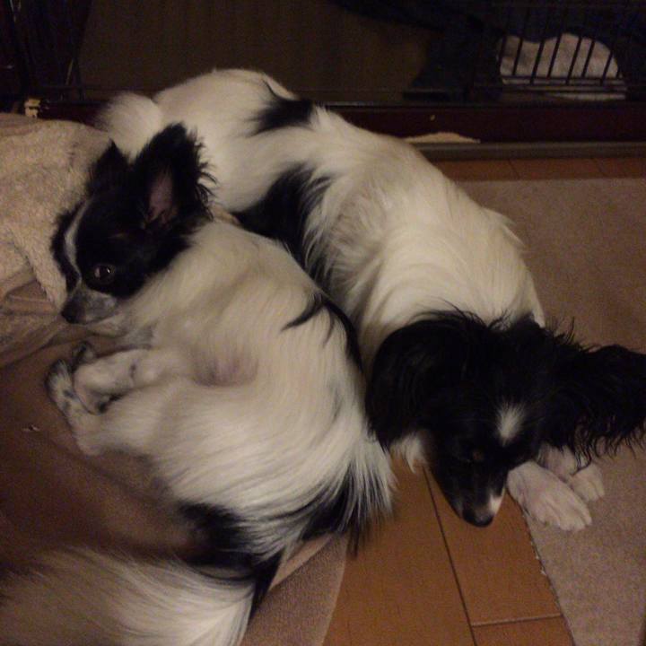 63587c8e 8b2a 4a7f b676 d4a91b93e737