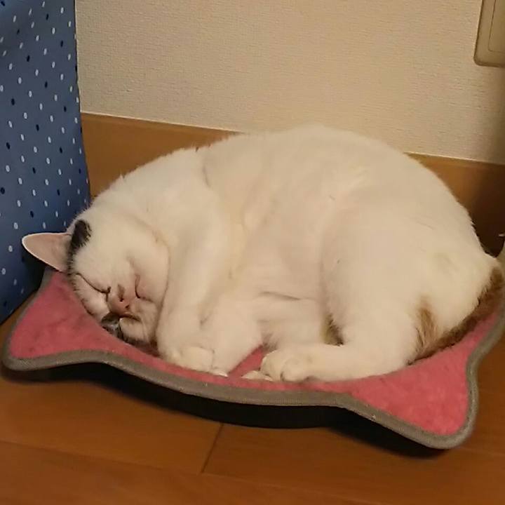 63596818 b21b 4ef7 bc21 62e0b6e924b8