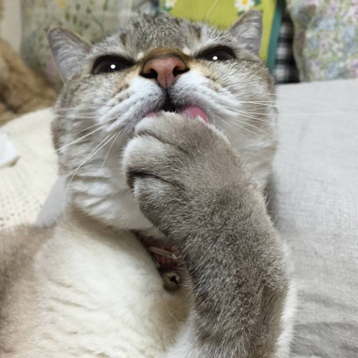 63599df0 e40f 4e1b 889f d992cc73e9aa