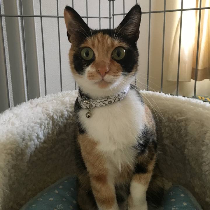 635ad665 72ca 4989 9034 221f2bce0e98