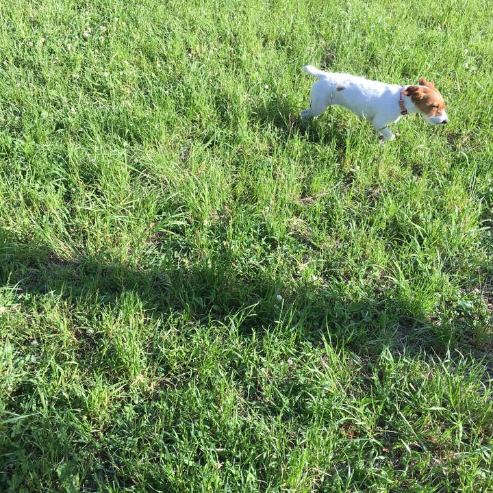 635ae349 bfc7 42cc 9b9b 2439e546fac5