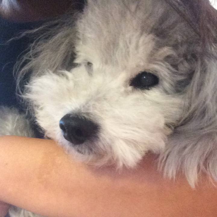 635ba577 453f 401b 8938 b9a01fab95a6