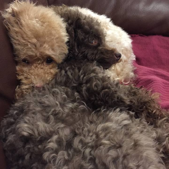 635bce87 26b0 4e5e aa4e 5d7be8cd1e00