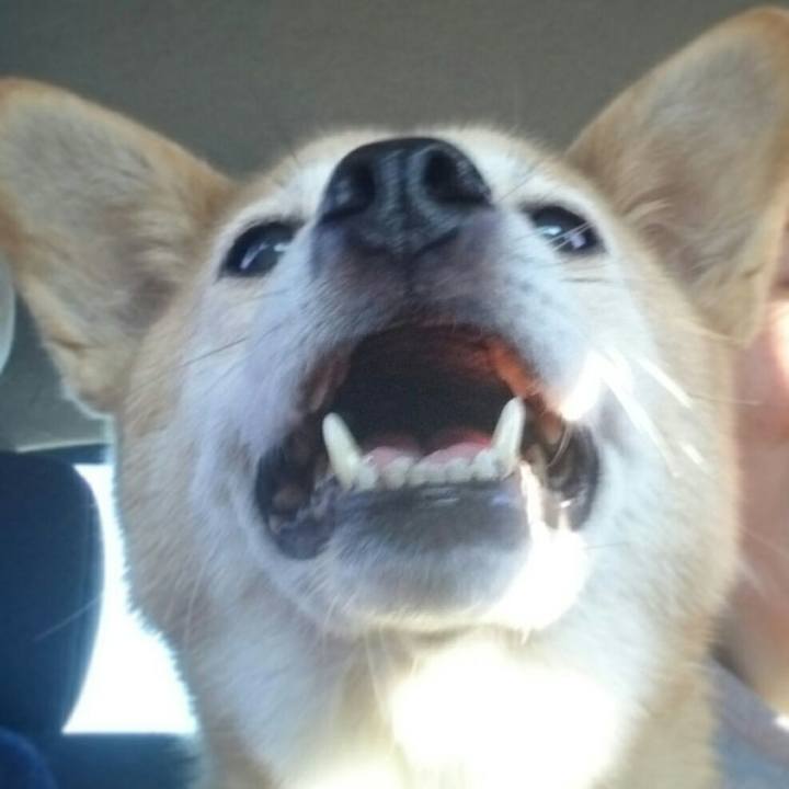 635c53d6 db47 4c2c 8100 2235a0586c81