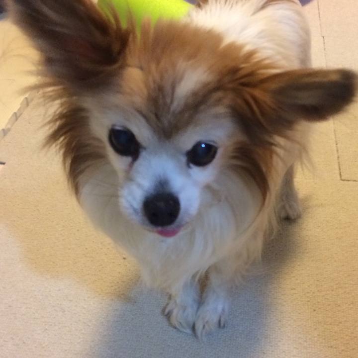 635ce273 9d32 4a03 8d1f 260f8cb4c3ce