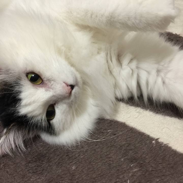 635d7dc5 7548 44fc b4e9 def4ac5bdbe9