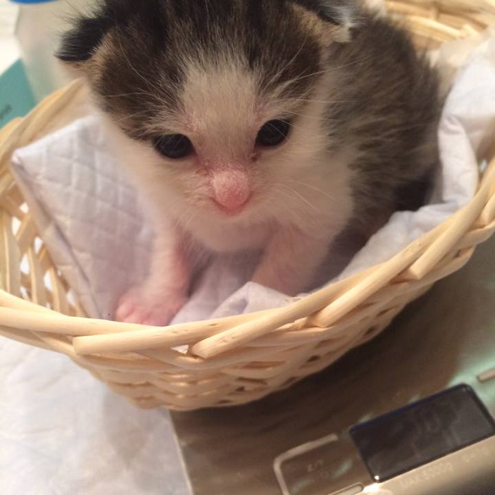 635df521 1346 437c a795 6acabdceb0a8