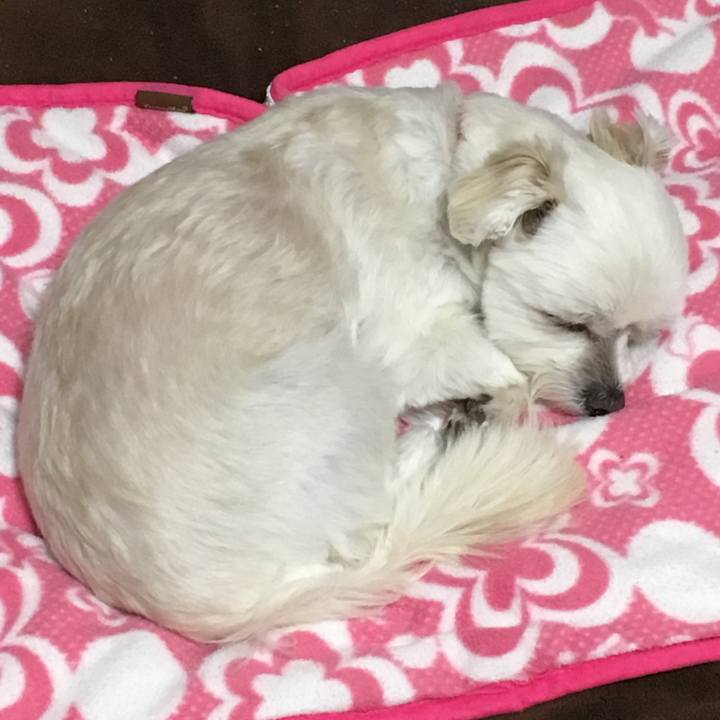 635df5af d014 4d89 b779 77399d896092