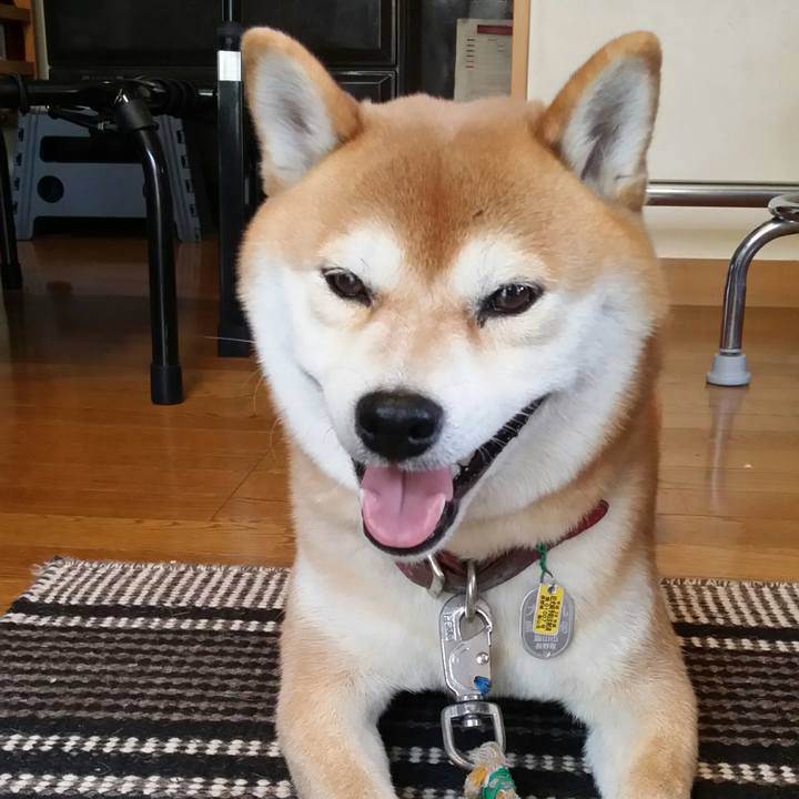 635e2c74 fcaa 4b1f 94d7 25a0ddafd76a