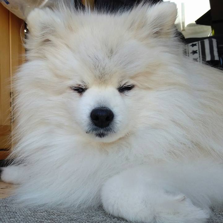 635f202f 7a12 4379 8daf 2b8843a05a15