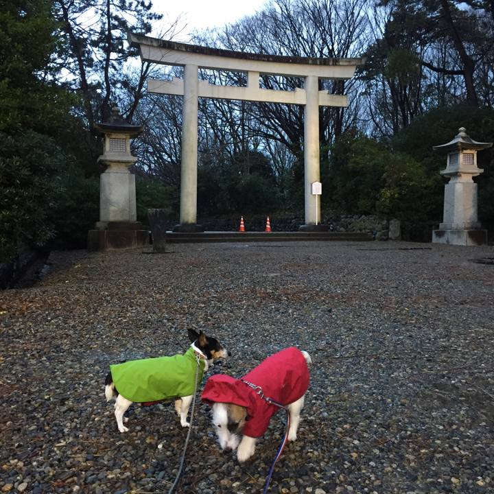 63603215 50d5 4284 b8e6 c8bf4ab68ba1