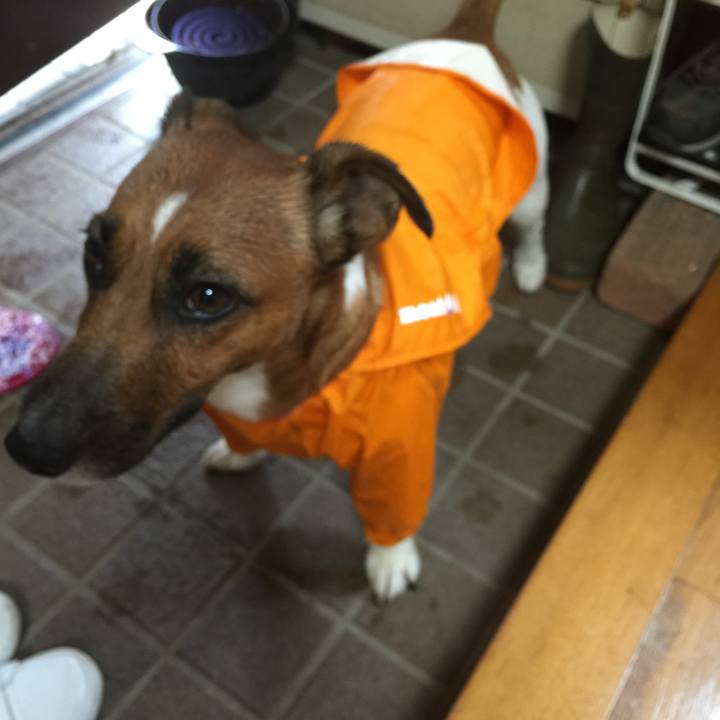 63605332 0bbc 496b a257 bc2fb269bb15