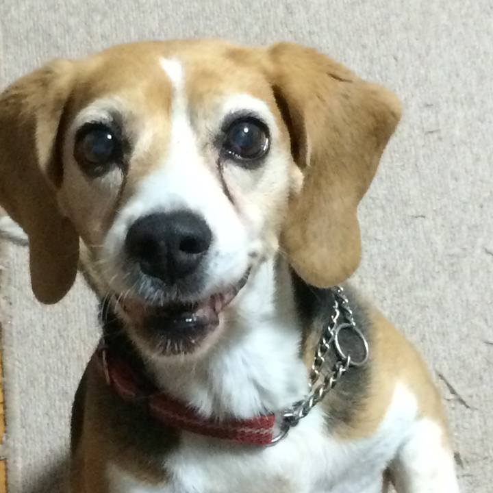 63605cd3 69b5 4462 b2a3 f2c14d699a67