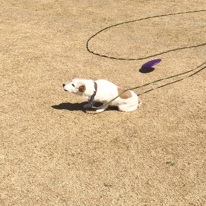 636082c5 02b9 4c7d 98ff 69a05dc540b3