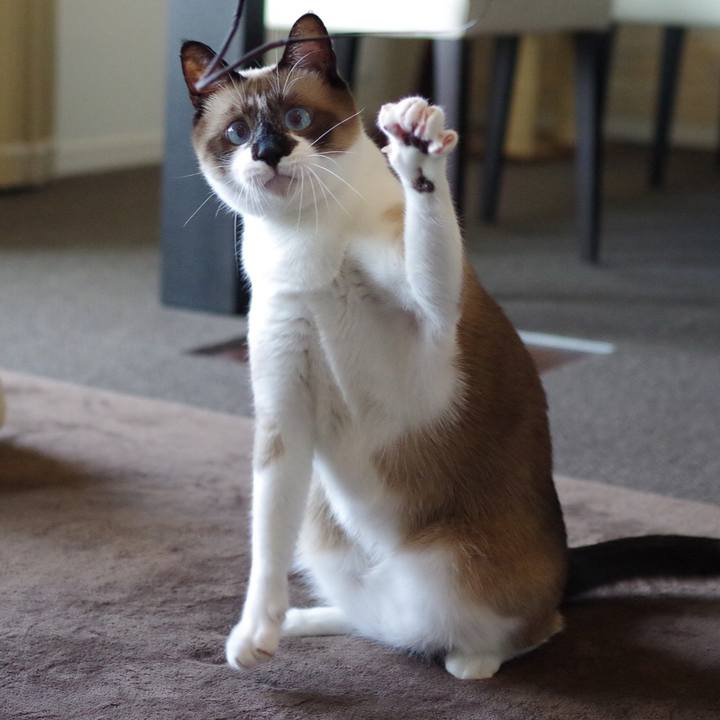 63609337 1dbc 49c0 b979 7b5fbd79c20a