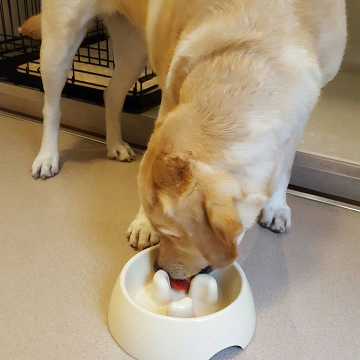 6360bbbf 8bc1 471e a9af 7c05a2ade5fe