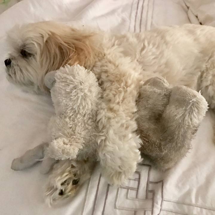 6360c72e 15a9 4d91 814e 4398cf83141f