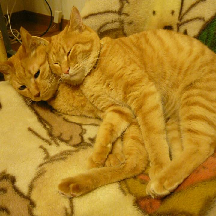 6360d74d 9083 45fa 89fc 7da5ed3425f8