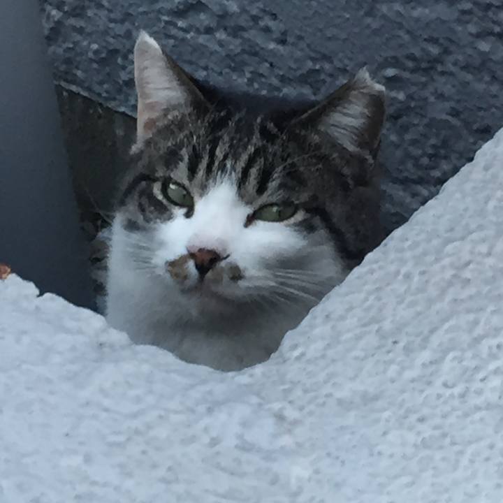 6360e381 d698 44e8 8c5d 555a4985a0fd