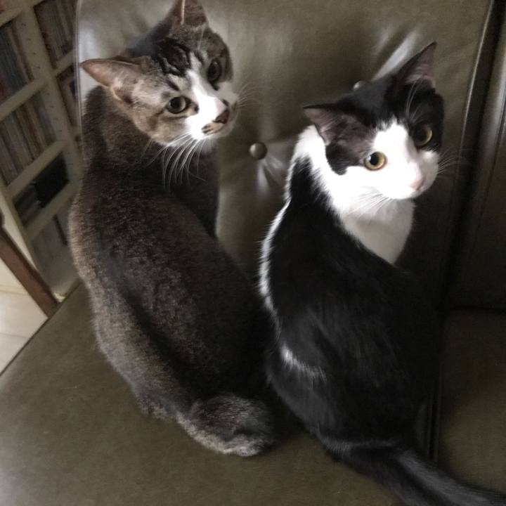 636170c6 d6d9 4752 ad16 d7d05266204e