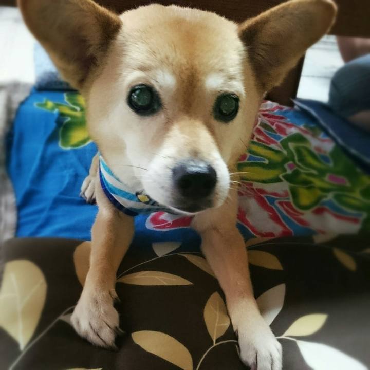 63617665 2559 435d 9622 58bd7a67f7bb