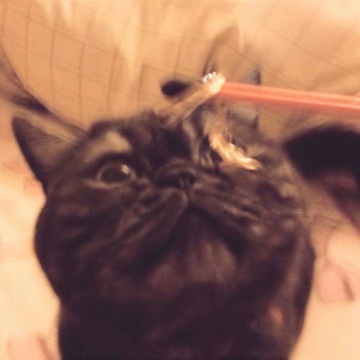 63620631 f93e 40f0 8b06 752fe7f4e498