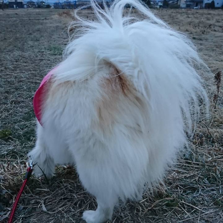 6362266c aae0 4560 ae0b 7f7e7fa7530a