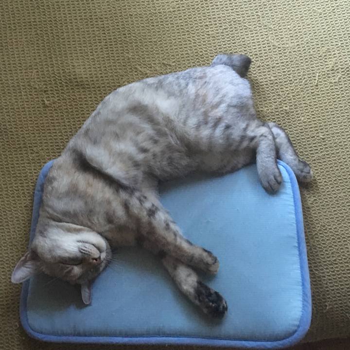 63622aff c14e 45c7 9444 3ac13fc3b9a9