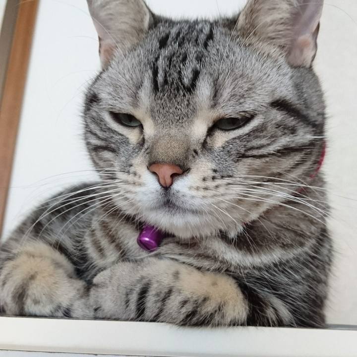 63625cc2 de65 4231 ac41 f814a6855767