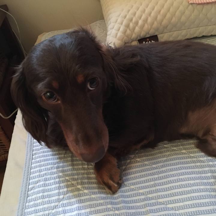 636332c4 e3b6 4cea a06f d21adfe32529