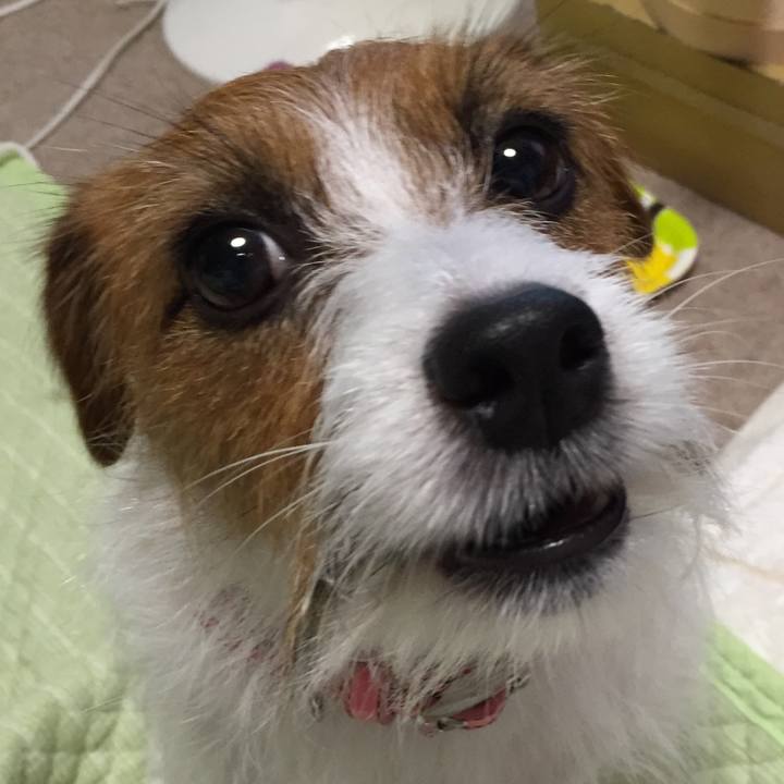 63638bd8 cc96 4d2a 8f93 0440045437d5