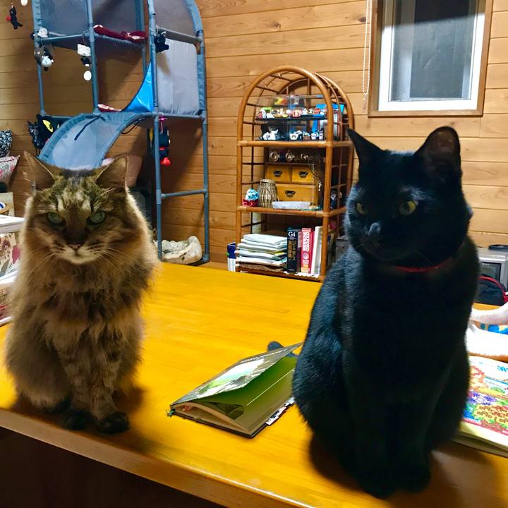 63645c4b 36f5 4320 8d10 b81b1d86c3fd