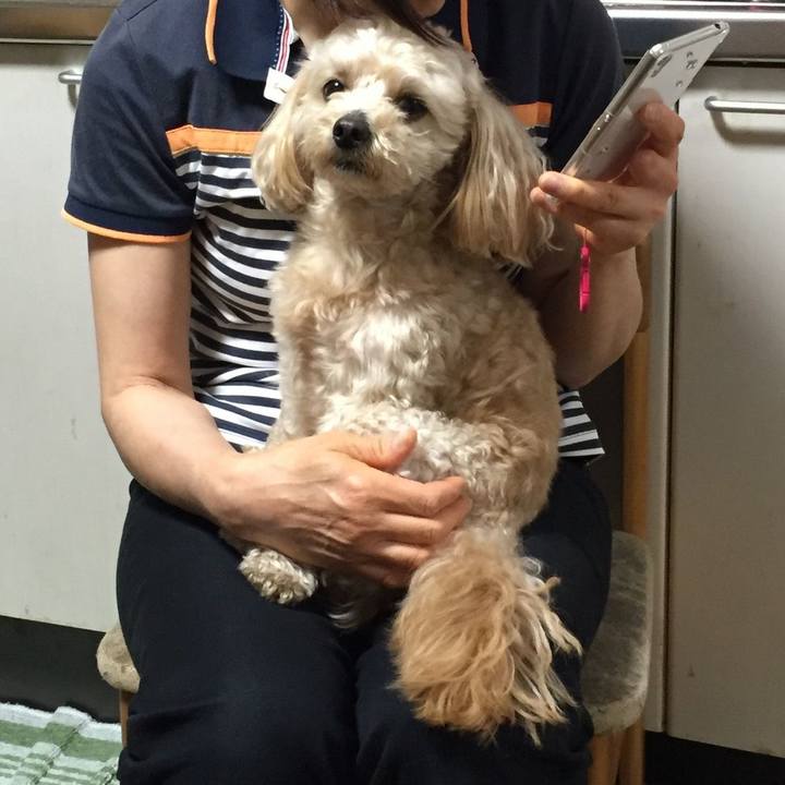 63650969 9fc3 4ff9 b051 f1fbcf046fe7