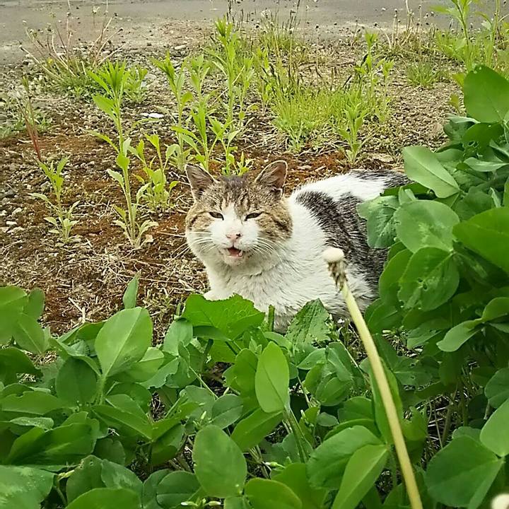 63661767 f84a 4506 aa12 057ca295569d