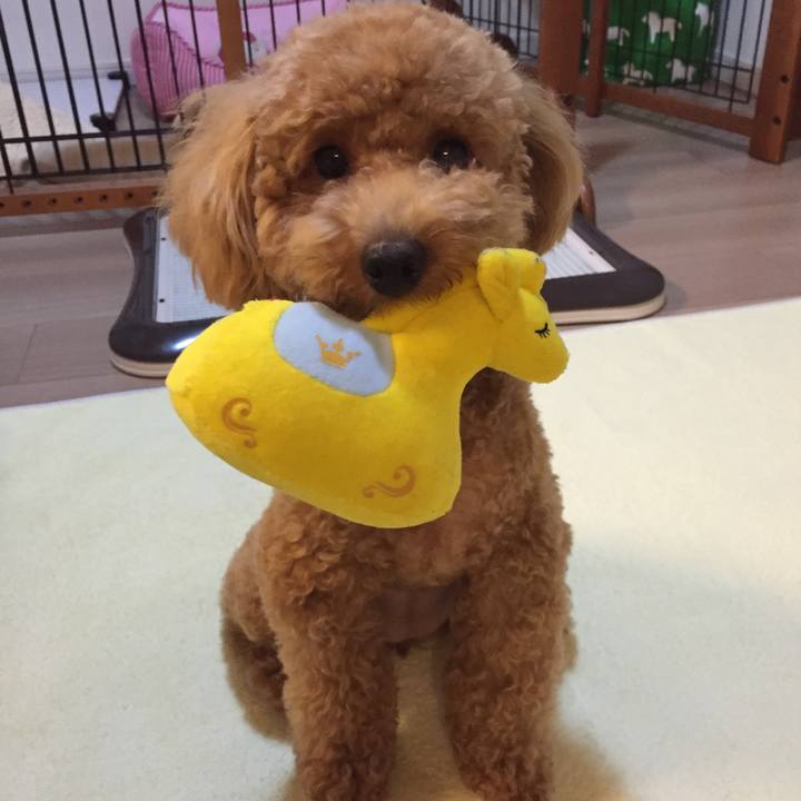 63662637 6fe0 46e0 810d 65d24382f8ff