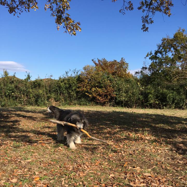 63663e5d 5864 48eb 87dc 5cbca80ec38d