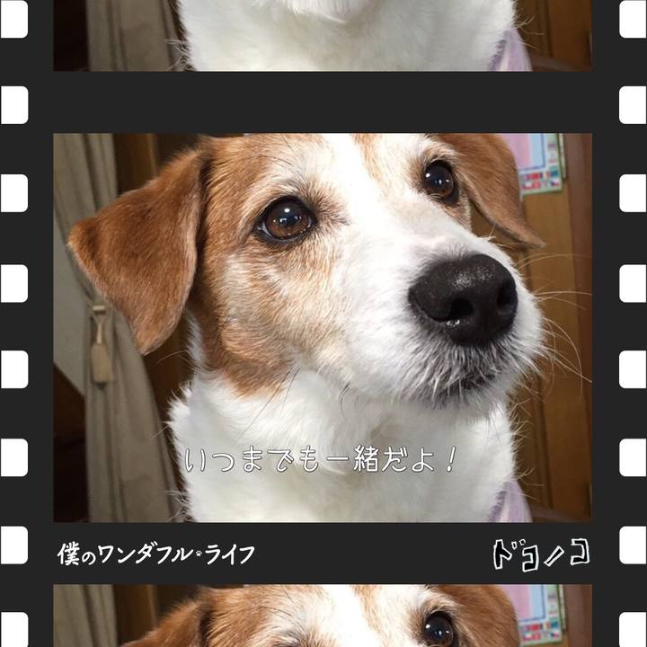 63673419 ff21 4835 ae99 7d7af9b5d655