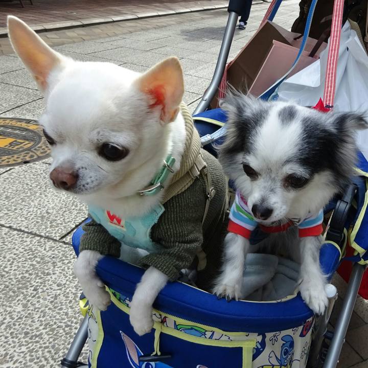 6367695e 2b60 4772 97d8 d7e4770312e5