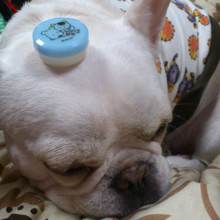 63679eea a235 413e 80ac b3b4b961c5eb