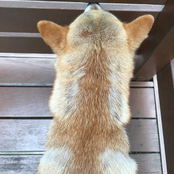 6367ab32 6105 4a2c 8bcc 1b7fc00d8717