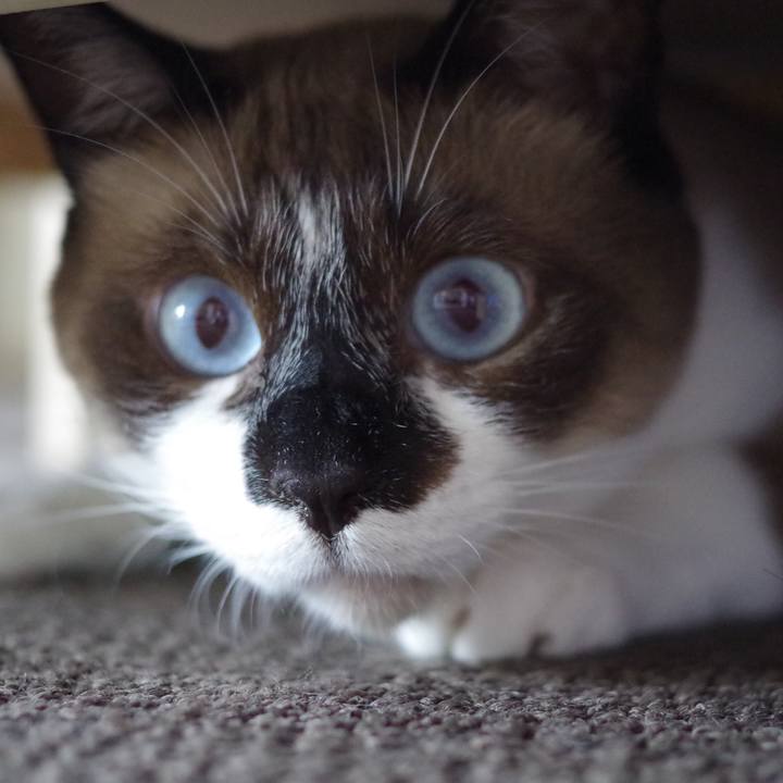 6367df15 99e4 4d38 902c d22623974e44