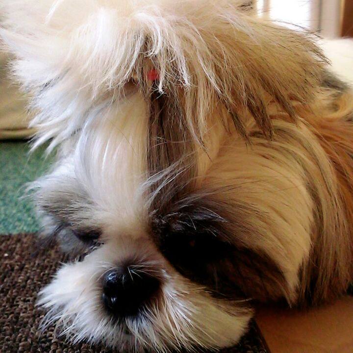 6368d1f0 5a5e 4822 aace 91fefd768c79