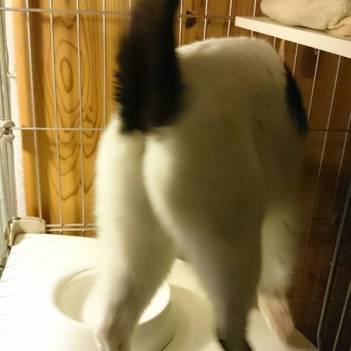 63691f9b 138a 4676 874c 1431d2391004