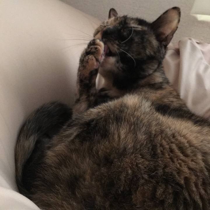 6369644d a2b4 4c96 988f a69f616b6556