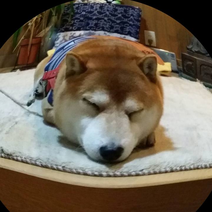 63697f7d 7217 4798 928f 02c1fb05cec2