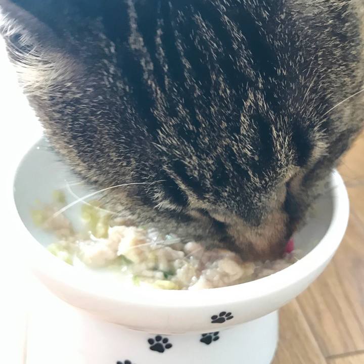 636a420b 9cf2 45b5 9249 3735eee95d5e