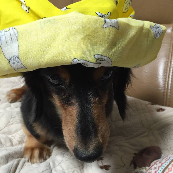 636b3ce8 310c 476b b115 42106e1c059a