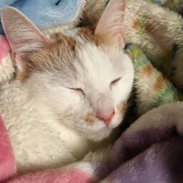 636b51d8 a649 4ab0 9801 a3007ff1ded3