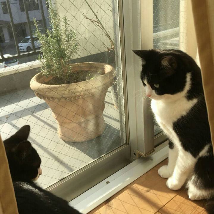 636b984e f97b 4159 84a2 75f59b50c36c