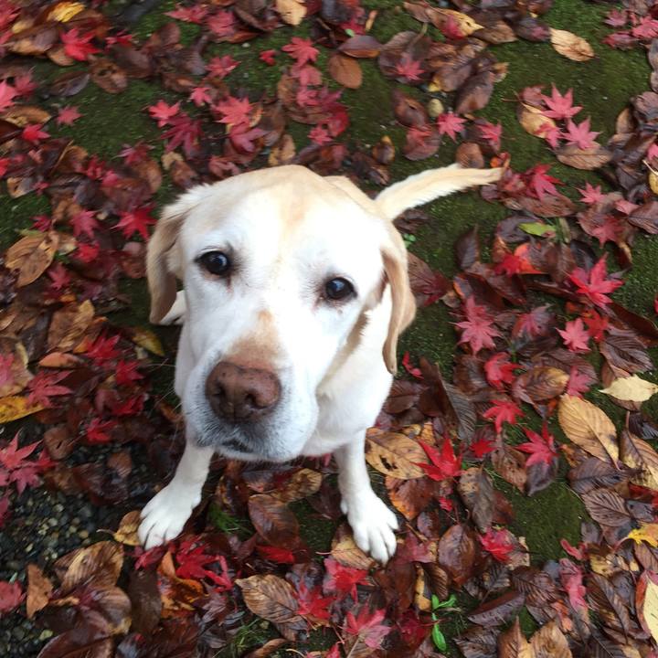 636bcad9 8f83 4ea1 a5da c3232c29752e